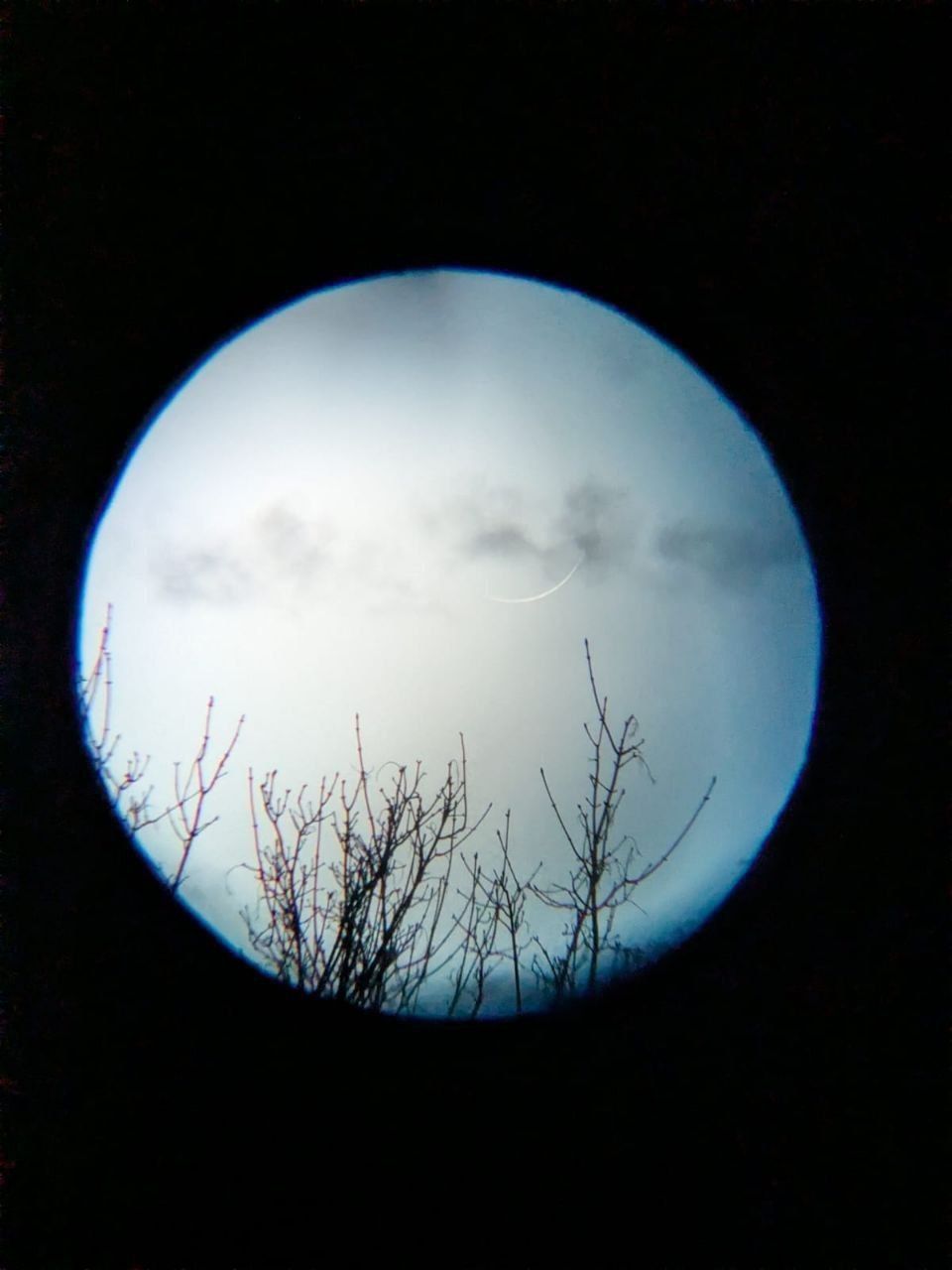 Sichtung aus Frankreich